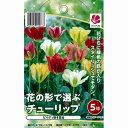 【10月上旬発送】花の形で選ぶチューリップ5球セット ビリティ咲き混合 変わり咲き
