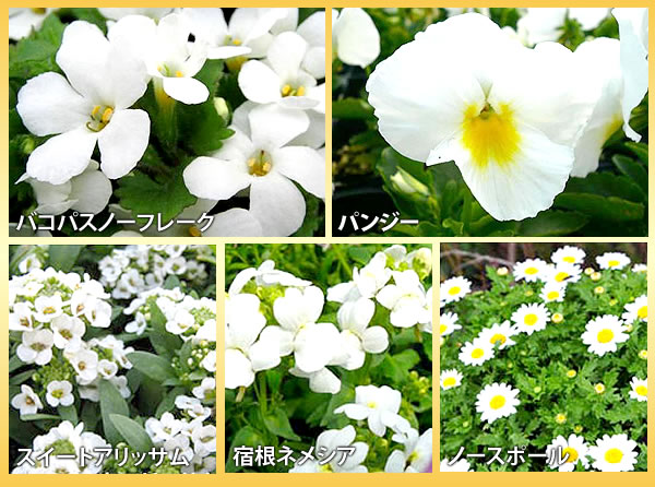 Diyで花壇を自作 お家の庭を初心者でも簡単で安くすむ作り方をご紹介 暮らし の