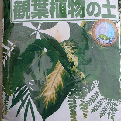 花ごころ 観葉植物の土 5L 室内観葉植物の植え替えに最適 光合成を助けるマグネシューム配合で元気に育ちます 元肥も入って配合の手間もありません 販売 通販 種類