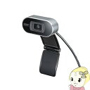 【8/18限定ダイヤモンド会員はエントリーで当店全品最大P8倍】CMS-V45S サンワサプライ オートフォーカス WEBカメラ【KK9N0D18P】