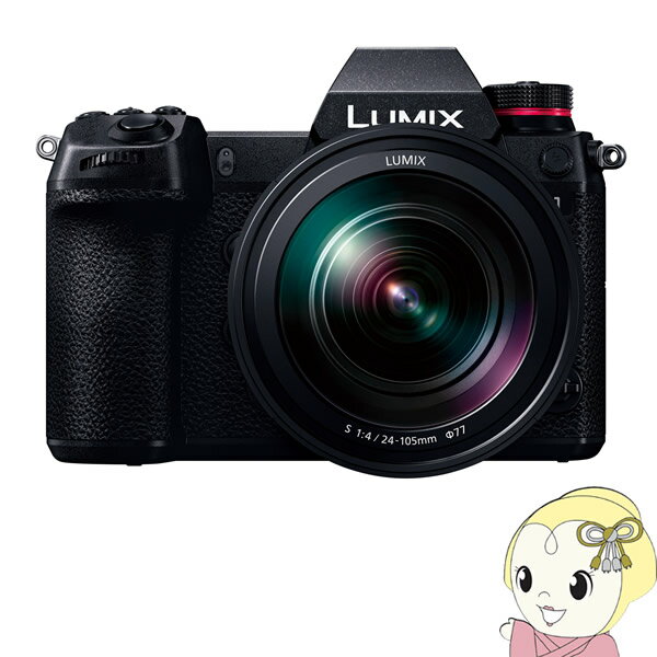 【エントリーで当店全品最大P5倍 5/17 10時~5/20 9:59】パナソニック ミラーレスカメラ LUMIX DC-S1M 標準ズームSレンズキット【KK9N0D18P】