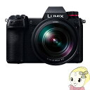【5/1限定エントリーで当店全品最大P7倍】パナソニック ミラーレスカメラ LUMIX DC-S1M 標準ズームSレンズキット【KK9N0D18P】