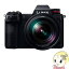 ѥʥ˥å ߥ顼쥹 LUMIX DC-S1M ɸॺS󥺥åȡKK9N0D18P