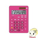 【8/18限定ダイヤモンド会員はエントリーで当店全品最大P8倍】DT600TX-R オーロラジャパン 電卓 卓上タイプ【KK9N0D18P】
