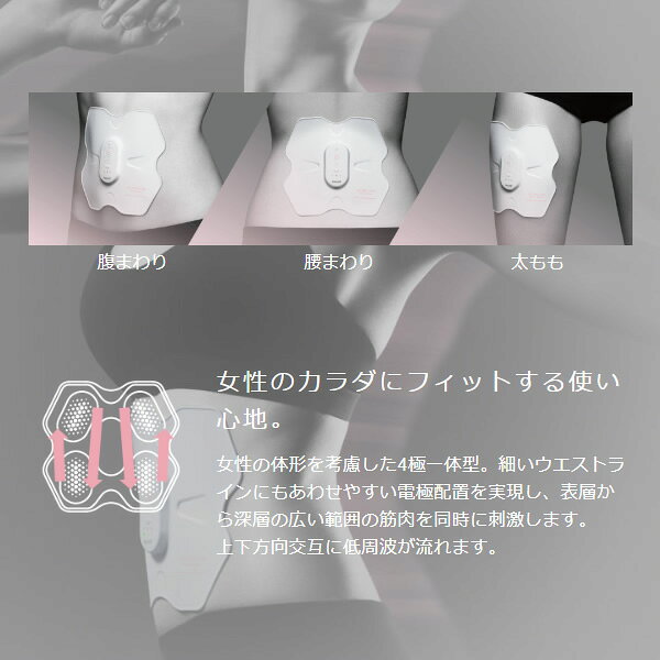 マクセル maxell EMS 運動器 4極タイプ ACTIVEPAD もてケア Pro for Women MXES-R4...