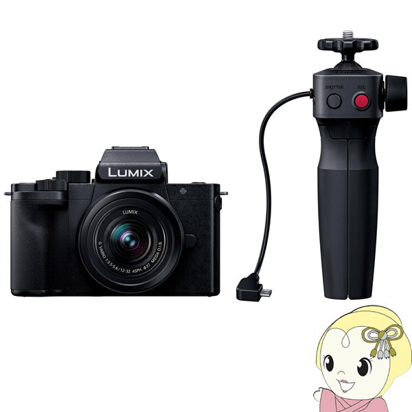 パナソニック ミラーレス 一眼レフ カメラ LUMIX DC-G100V 標準ズームレンズキット【KK9N0D18P】