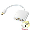 【5/1限定エントリーで当店全品最大P7倍】サンワサプライ ミニDisplayPort-DVI変換アダプタ AD-MDPDVA01【KK9N0D18P】