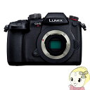 【5/1限定エントリーで当店全品最大P7倍】Panasonic パナソニック LUMIX Gシリーズ ミラーレス 一眼カメラ DC-GH5M2 ボディ【KK9N...