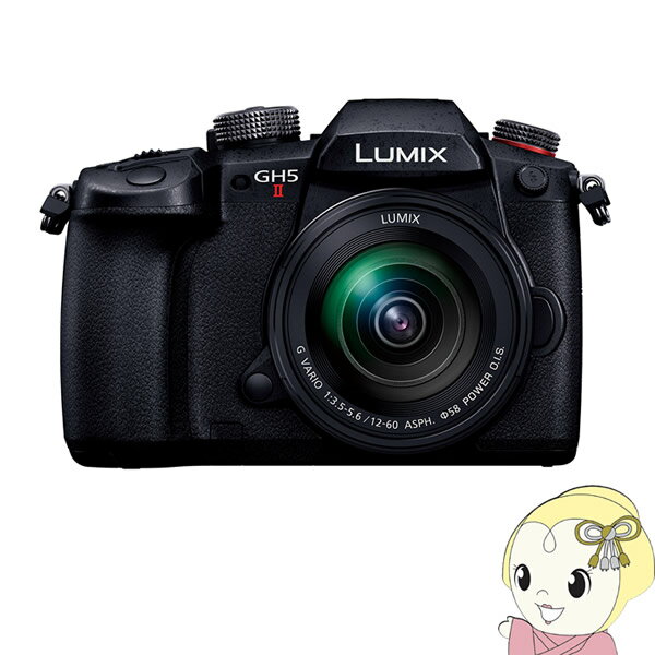 【エントリーで当店全品最大P5倍 5/17 10時~5/20 9:59】Panasonic パナソニック LUMIX Gシリーズ ミラーレス 一眼カメラ DC-GH5M2M 標準ズームレンズキット【KK9N0D18P】