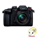 Panasonic pi\jbN LUMIX GV[Y ~[X J DC-GH5M2M WY[YLbgyKK9N0D18Pz