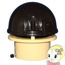 【5/18はダイヤモンド会員限定当店全品最大P8倍】日本電興 先端型 トイレファン 大風量タイプ SP-20【KK9N0D18P】