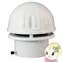 【5/18はダイヤモンド会員限定当店全品最大P8倍】【在庫僅少】日本電興 先端型 トイレファン 大風量タイプ SP-25【KK9N0D18P】