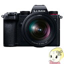 【5/1限定エントリーで当店全品最大P7倍】パナソニック ミラーレス一眼レフカメラ LUMIX DC-S5K 標準ズームKレンズキット【KK9N0D18P】
