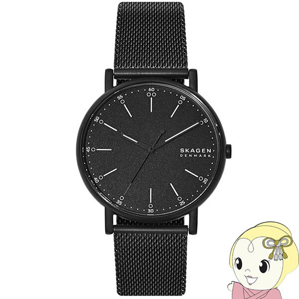 スカーゲン 腕時計（メンズ） 【あす楽】【在庫処分】【国内正規品】スカーゲン SKAGEN 腕時計 メンズ SIGNATUR ブラック ブラックメッシュ SKW6579【KK9N0D18P】