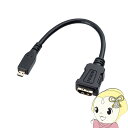 【5/1限定エントリーで当店全品最大P7倍】サンワサプライ HDMI変換アダプタ マイクロHDMI・ブラック・0.1m AD-HD20MCK【KK9N0D18P...