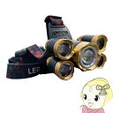 【7/18限定 ダイヤモンド会員ならエントリーで当店全品最大P8倍】【在庫処分】Landfield LEDヘッドライト LF-LEH010【KK9N0D18P】