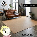 ラグ カーペット 自然素材 イケヒコ 籐 敷 アジアン ラタン ひんやり あじろ織り 200x250cm IKE-5209680【KK9N0D18P】(3)