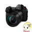 ں4000OFFݥȯ 3/10 0~3/11 1:59Panasonic ѥʥ˥å ߥ顼쥹ե LUMIX S꡼ DC-S1 ܥǥKK9N0D18P