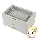 【5/1限定エントリーで当店全品最大P7倍】【在庫あり】茶谷産業 FUN SCIENCE ジュエルケース 240-668【KK9N0D18P】