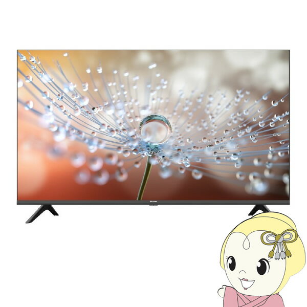 【最大4000円OFFクーポン発行 5/9 20時~5/10 23:59】液晶テレビ Hisense ハイセンス ハイビジョン 3波Wチューナー内蔵 40A30H [40インチ]【KK9N0D18P】