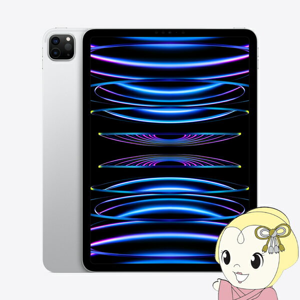 Apple アップル タブレットパソコン iPad Pro 11インチ 第4世代 Wi-Fi 2TB 2022年秋モデル MNXN3J/A [シルバー]【KK9N0D18P】