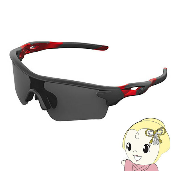 ��1/18�ϥ�������ɲ��������Ź���ʺ���P8�ܡۡڥ᡼����ľ����WICUE 0.1�ýִ�Ĵ�����󥰥饹 ���ݡ��ĥ����� ��å� �������塼�����쥯�� VR1901-RD��KK9N0D18P��