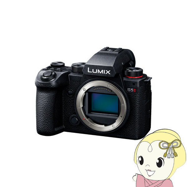 デジタル一眼カメラ Panasonic パナソニック LUMIX DC-S5M2 ボディ DC-S5M2【KK9N0D18P】