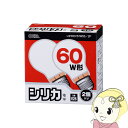 【あす楽】【在庫あり】OHM オーム電機 白熱電球 60W相当 ホワイト E26 2個入り 白熱球 シリカ LW100V57W55/2P【KK9N0D18P】