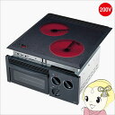 【5/1限定エントリーで当店全品最大P7倍】【在庫限り】ハイラジエントヒーター 三化工業 SRH-252G 200V ビルトイン 2口 幅45cm ロースター付...