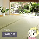 【7/25は期間限定クーポン発行】萩原 い草 上敷き カーペット グリーン 36間6畳 273×364cm 双目織 撥水加工 備前 【KK9N0D18P】