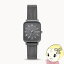 ڤڡۡں߸˽ʬۡڹʡӻ  SKAGEN ǥ RYLE 顼 㥳 ƥ쥹å奦å ʥ SKW3000KK9N0D18P