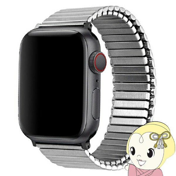 【あす楽】【在庫あり】アップルウォッチ バンド 49mm 45mm 44mm 42mm TF7 メタルストレッチバンド for Apple Watch Sサイズ ステンレス シルバー TF21SV44S【KK9N0D18P】