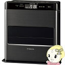 【最大4000円OFFクーポン発行 3/10 0時~3/11 1:59】石油ファンヒーター コロナ FH-CWZ36BYD-KG WZシリーズ 木造10畳/コンクリート13畳まで グランブラック 日本製 3年保証 省エネ DCモーター 消臭性能【KK9N0D18P】