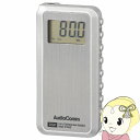 【7/18限定 ダイヤモンド会員ならエントリーで当店全品最大P8倍】オーム電機 AudioComm ライターサイズDSPラジオ ポケットラジオ ポータブルラジオ ワイドFM対応 RAD-P100Z-S【KK9N0D18P】(2)