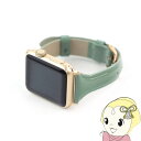 WEARPLANET Apple Watch 41/40/38mmpSlim Line {v Gioh XO[ WP23101AWGRyKK9N0D18Pz