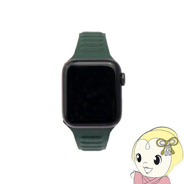 楽天ぎおん楽天市場店【6/10は期間限定クーポン発行】WEARPLANET Apple Watch 41 40 38mm用Slim Line マグネットリンクバンド Hooker's Green WP23201AWGR フッカーズグリーン【KK9N0D18P】