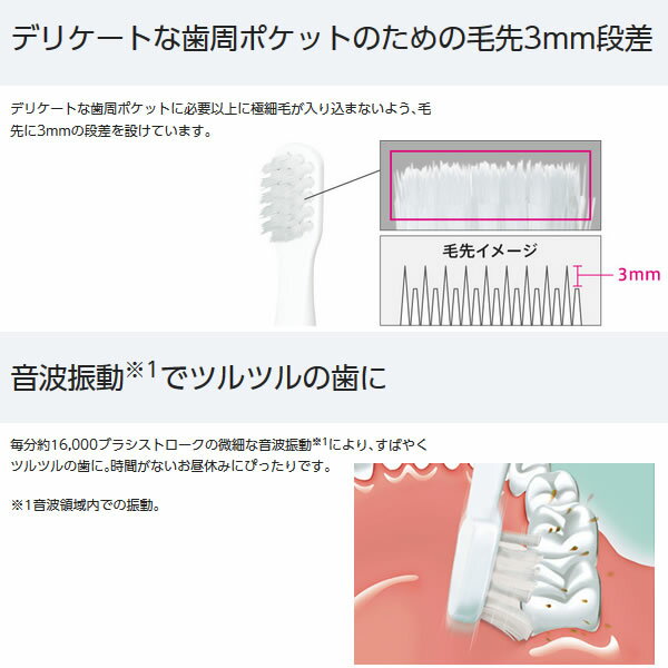 EW-DS1C-RP パナソニック 音波振動ハブラシ ポケットドルツ ルージュピンク【KK9N0...
