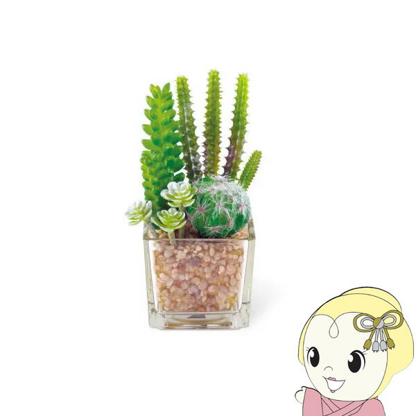 【2/1限定エントリーで当店全品最大P7倍】キシマ Succulent Refrerium サキュレントリフレリウム 消臭アーティフィシャルグリーン KH-60985【KK9N0D18P】