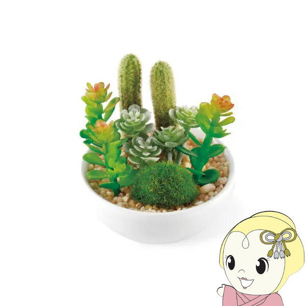 【2/1限定エントリーで当店全品最大P7倍】キシマ Succulent Refrerium サキュレントリフレリウム 消臭アーティフィシャルグリーン KH-60987【KK9N0D18P】