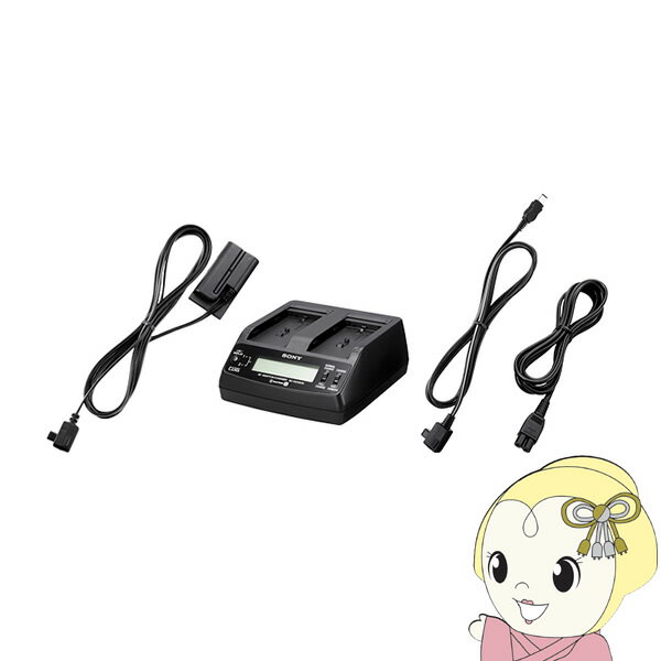 [予約]ACアダプター ソニー AC-VQ1051【KK9N0D18P】