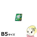 ラミネートフィルム アイリスオーヤマ 片面マットB5 100枚入 100μ LZM-B5100【KK9N0D18P】