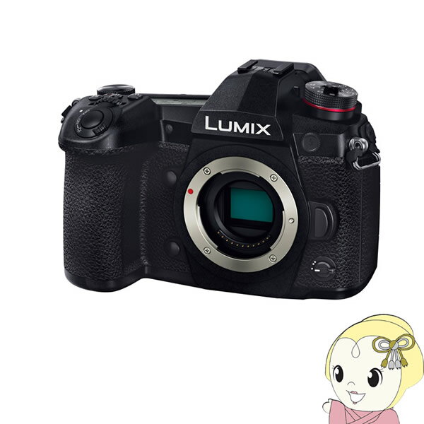 【6/1限定エントリーで当店全品最大P7倍】パナソニック ミラーレス一眼カメラ LUMIX DC.G9 ボディ【KK9N0D18P】