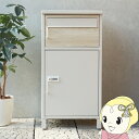 【5/10は期間限定クーポン発行】宅配ボックス バルトロ ポスト一体型 ダイヤルロック おしゃれ 木目調ゆうパケット スリット窓付き グレージュ【KK9N0D1...