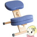 【9/20は期間限定クーポン発行】学習椅子 プロポーションチェア キッズ 姿勢 学習チェア 子供椅子 背筋矯正 組立式 ライトナチュラル脚 バイオレット【KK9N0D18P】|詳細画像