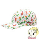 【7/10は期間限定クーポン発行】【在庫限り】ランニングキャップ SPRINTS スプリンツ Spicy Pickles O.G.Hats オージーハット スポ...