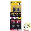 【5/25は期間限定クーポン発行】KU30-AMC10BK サンワサプライ USB3.0対応 USBケーブル A-microB 1m【KK9N0D18P】(2)