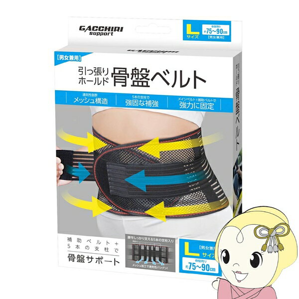 【11/25限定クーポン発行】【在庫限り】引っ張りホールド 骨盤ベルト 腰痛 ぎっくり腰 コルセット Lサイズ GACCHIRI support ガッチリサポート 株式会社ハック HAC4665【KK9N0D18P】