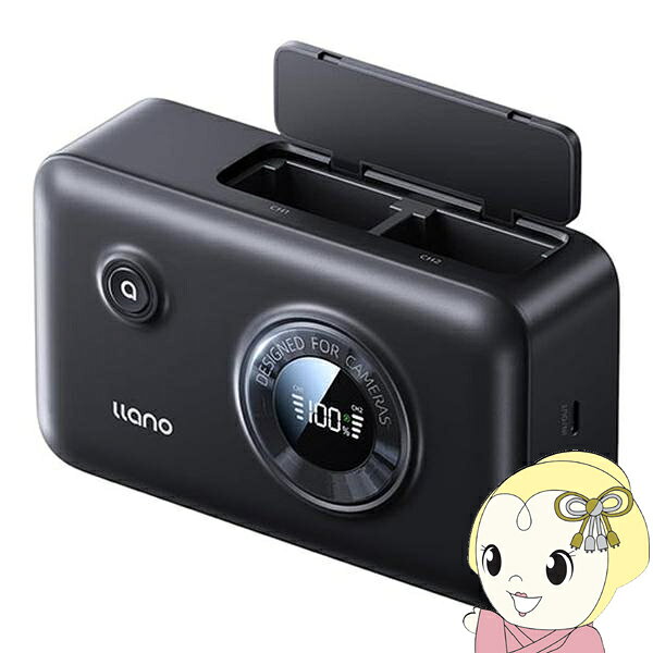 llano CS3FZ100 CS3 2in1 カメラバッテリー充電器 NP-FZ100用【KK9N0D18P】
