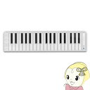 【5/10は期間限定クーポン発行】ディリゲント Xkey Air 37 Bluetooth MIDIキーボード【KK9N0D18P】