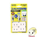 【5/10は期間限定クーポン発行】TAP-PSC2N サンワサプライ プラグ安全カバー 2P:L型用、4個入り 【KK9N0D18P】